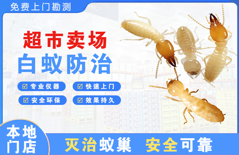 启东超市卖场白蚁防治