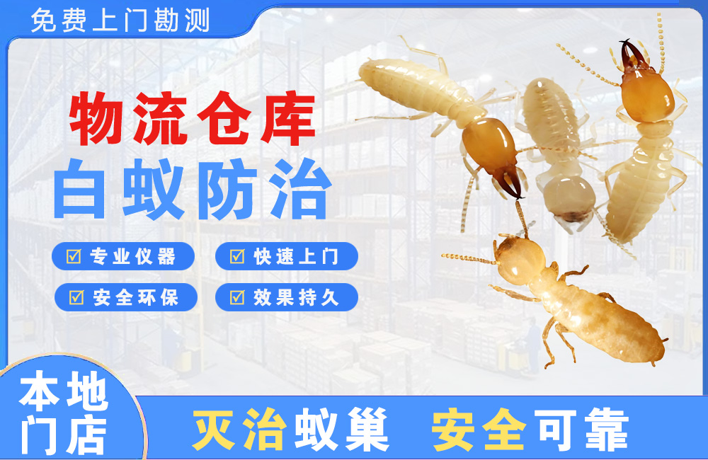 启东物流仓库白蚁防治