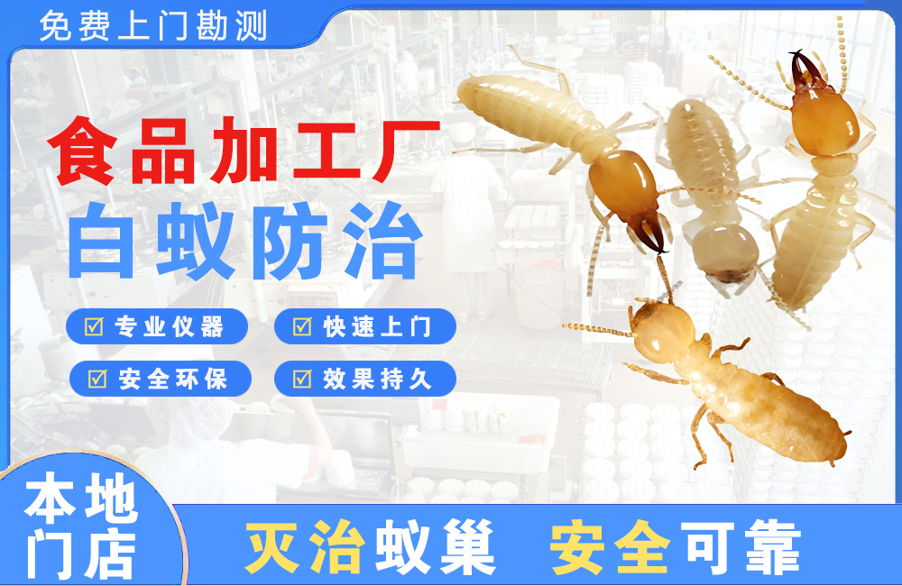 启东食品加工厂白蚁防治