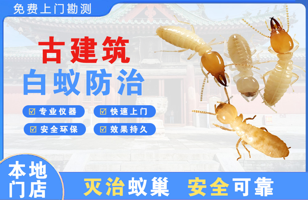 启东古建筑白蚁防治
