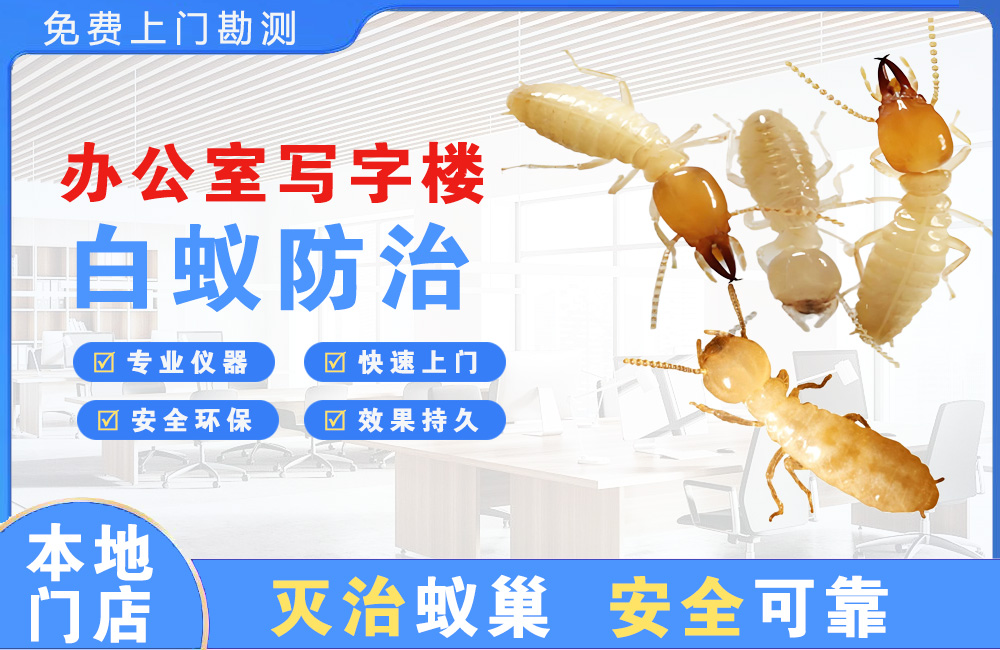启东办公室写字楼白蚁防治