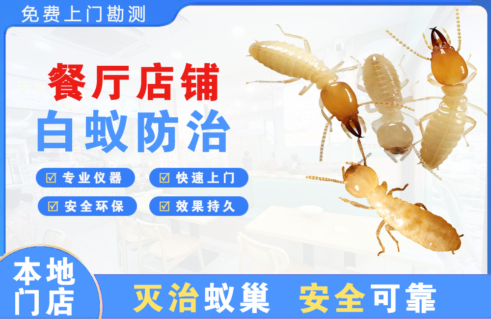 启东餐厅店铺白蚁防治